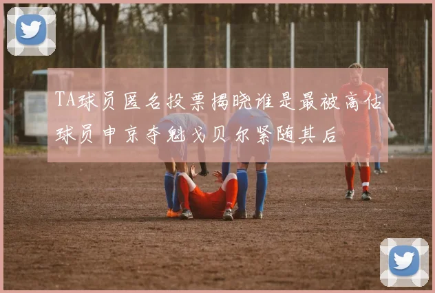 TA球员匿名投票揭晓谁是最被高估球员申京夺魁戈贝尔紧随其后
